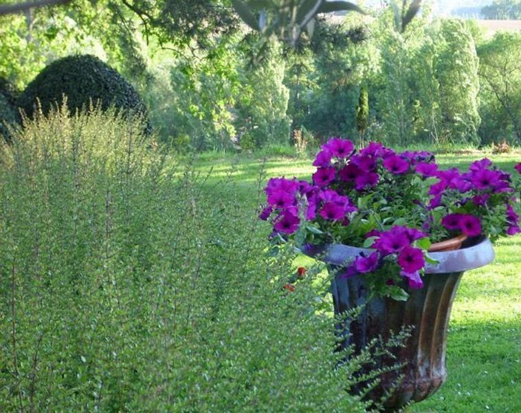 Chateau De Thegra บัลมา ภายนอก รูปภาพ